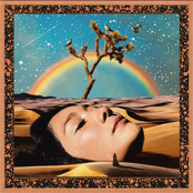 Mourning Doves of Joshua Tree