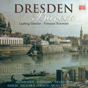 Baroque Trumpet Concertos - Fasch, J.F. / Zelenka, J.D. / Graun, J.G. / Telemann, G.P. / Vivaldi, A. / Pisendel, J.G. / Quantz, J.J.