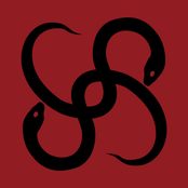 深蛇S.S.