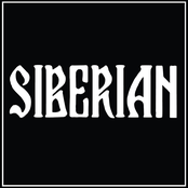 siberian