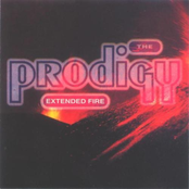 Your Love (the Original Excursion) by The Prodigy