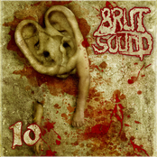 Brutsound Volume 10