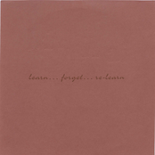 Learn...forget...relearn