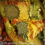 3-Ways Blasted Brains (2010)