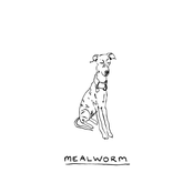 Mealworm: Mealworm - Single