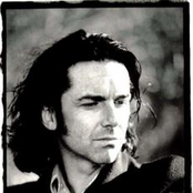 steve hogarth