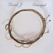 Estranged by David J