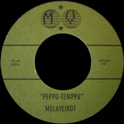 Vehkeet Levällään / peppu-temppu 7"