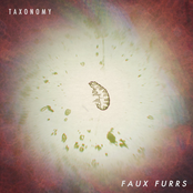 Faux Furrs: Taxonomy