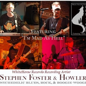 stephen foster & howler