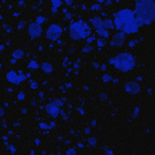 Measuring, Monitoring, Calibrating