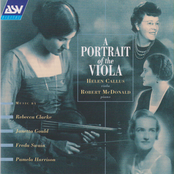 A Portrait Of The Viola