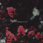 The Self-Sabotage of Love [Explicit]