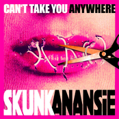 Can't Take You Anywhere cover