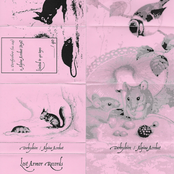 Derbyshire / Alpine Acrobat