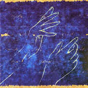 septem peccata mortalia/人魚病