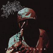 Peacemaker FL: First Degree - EP