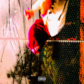 they say f*ck me cuz im punk