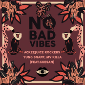 No Bad Vibes (feat. Guesan)