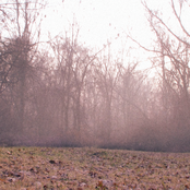 Evening Conversations Vol. 2