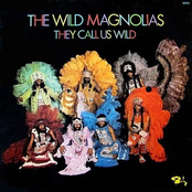 New Kinda Groove by The Wild Magnolias