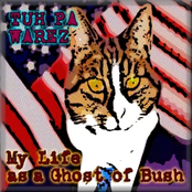 My Life as a Ghost of Bush