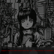 Copper Wires and Electricity for the Expression of Nothing