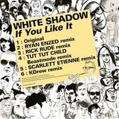 If You Like It by Dj White Shadow