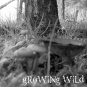 gRoWiNg WiLd