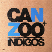 íNDIGOS