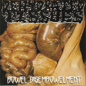 Bowel Disembowelment