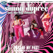 Part Of My Past: The Simon Dupree & The Big Sound Anthology