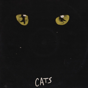 Cats Madrid