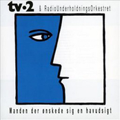 Manden der ønskede sig en havudsigt