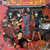 The Pleasures In Life