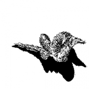 [brq09] Cie - Erde und Sterne EP