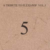A Tribute to Flexi-Pop, Volume 5