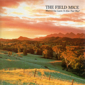 It Isn't Forever by The Field Mice