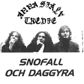 Snöfall Och Daggyra