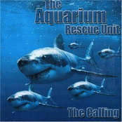 No Egos by Aquarium Rescue Unit