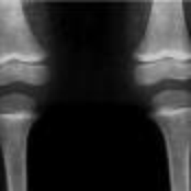 Completely Niu Things