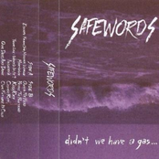 Didn't We Have A Gas...