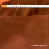 sistermachinegun: 6.5 the desert companion
