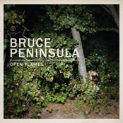 In Your Light by Bruce Peninsula