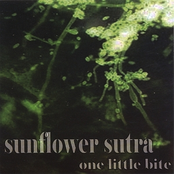 Sunflower Sutra: One Little Bite