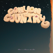 Canyon Country: There's a Forest in the Fire