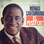 el pussy cat