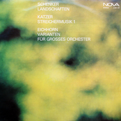 Landschaften, Steichermusik 1, Varianten Für Großes Orchester