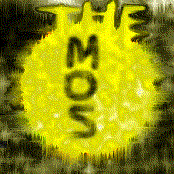 Members of the Senate B-Sides