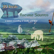 20 Irish Nature Sounds